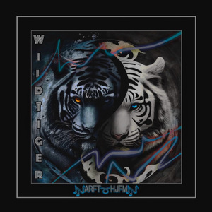 免费AV毛片一区二区三区
