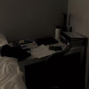 免费AV毛片一区二区三区
