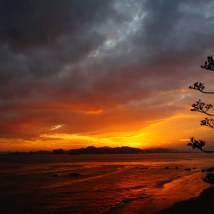 免费AV毛片一区二区三区
